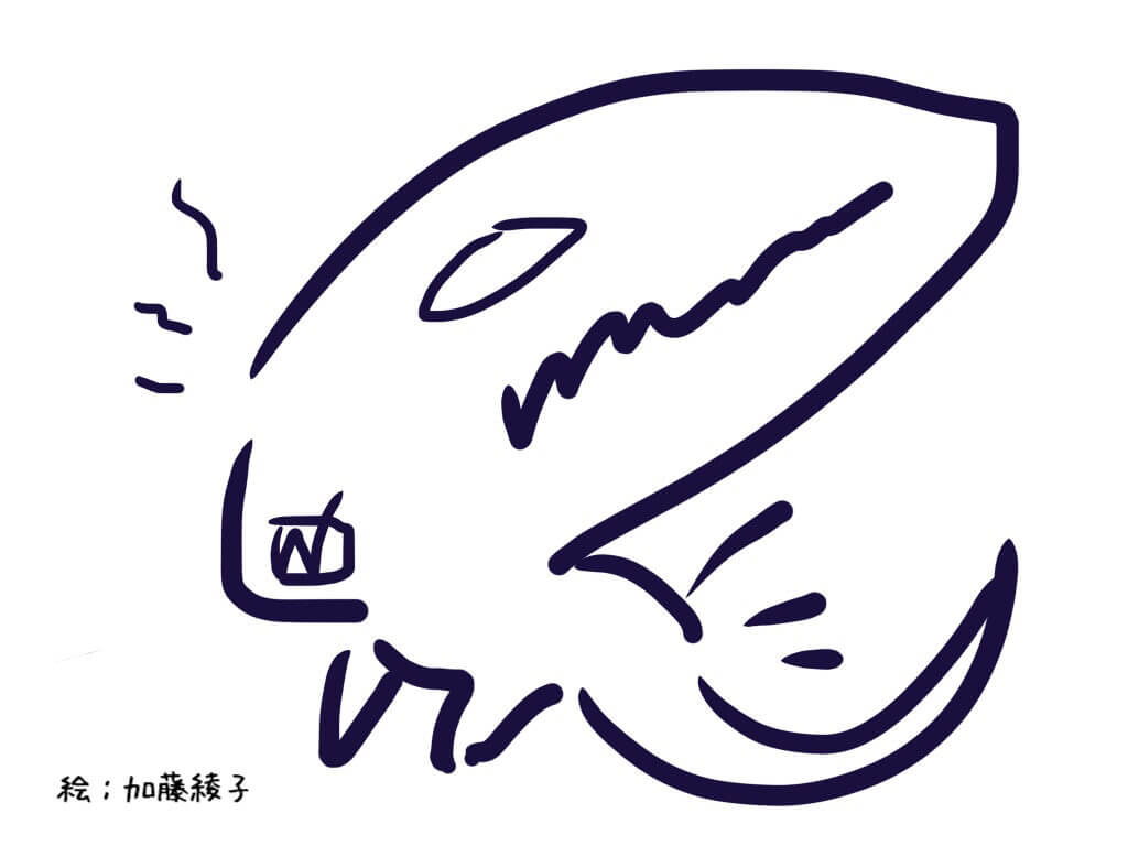 ゼノちゃん